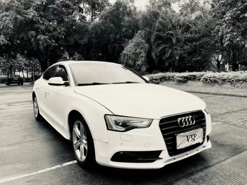 东莞15年奥迪A57