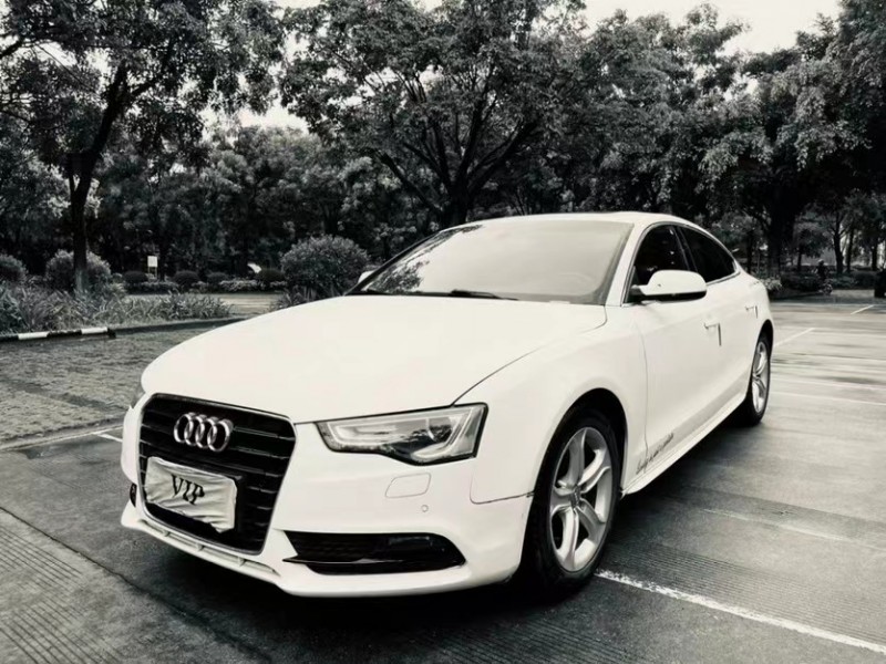 东莞15年奥迪A56