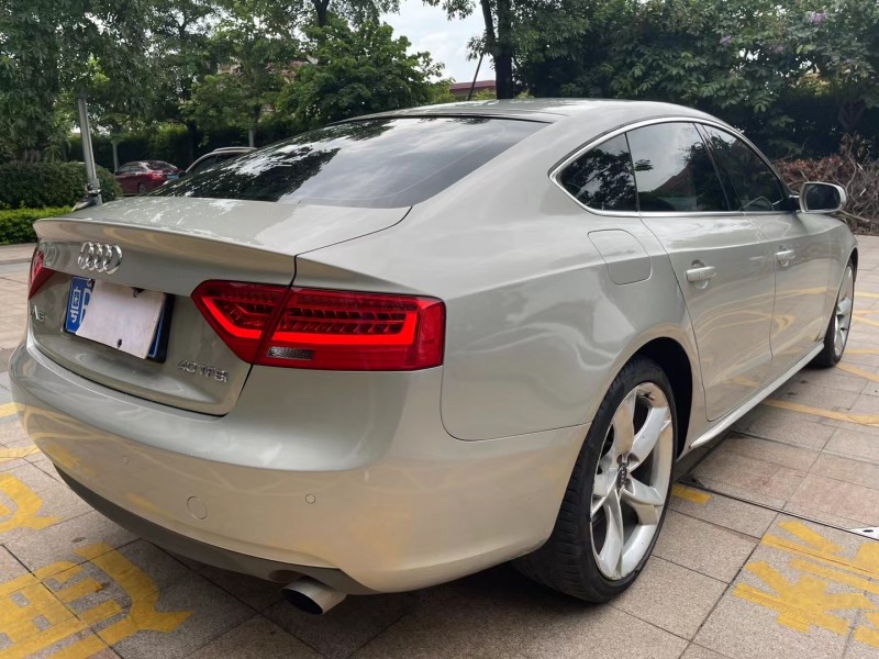 中山13年奧迪A56