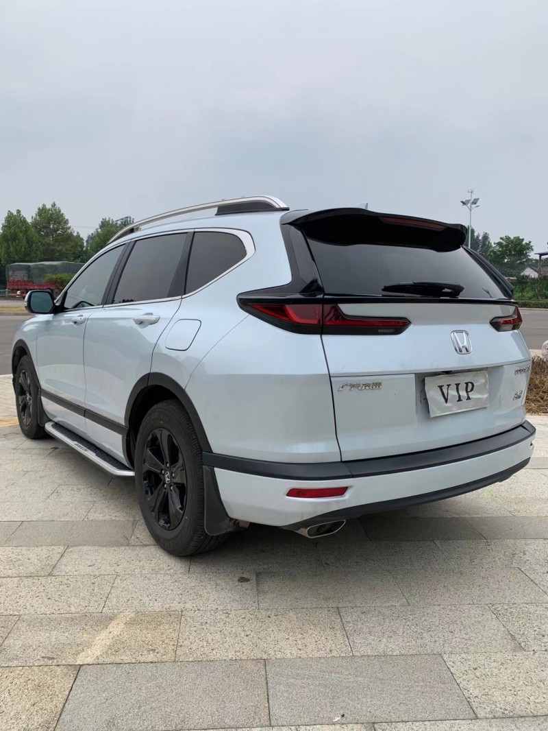 枣庄20年本田皓影1