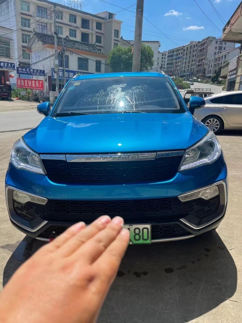 長沙19年獵豹汽車CS9新能源1