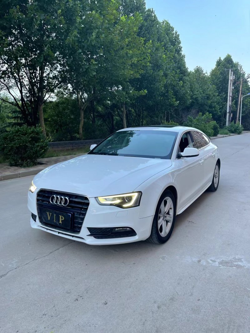 邢台14年奥迪A57