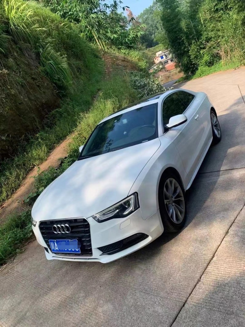 成都14年奥迪A52