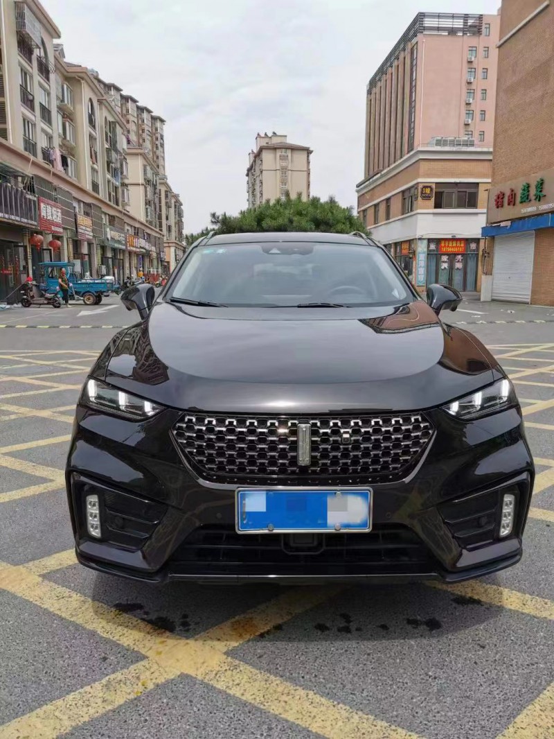 泰州20年長城VV71
