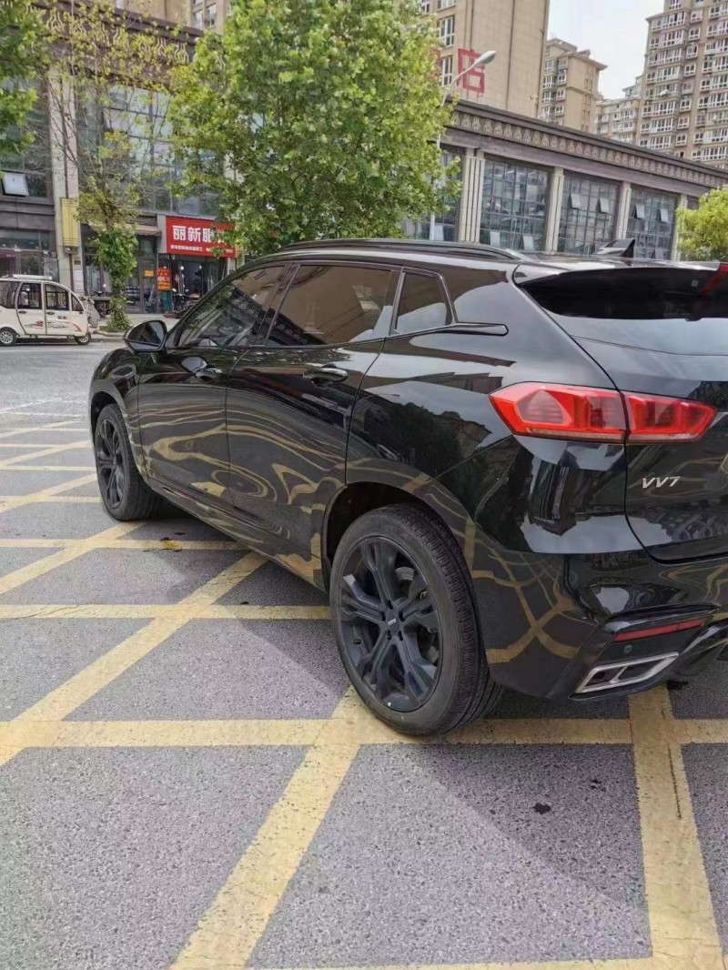 泰州20年長城VV77