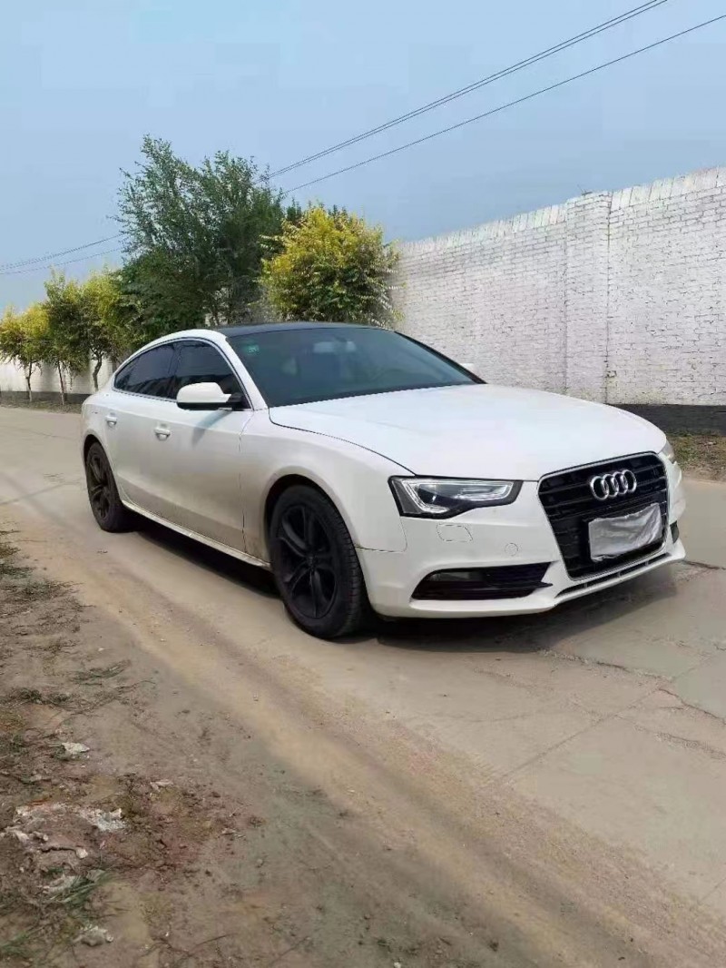 保定14年奥迪A53