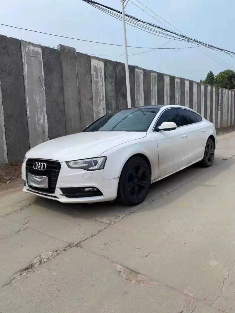 保定14年奥迪A52