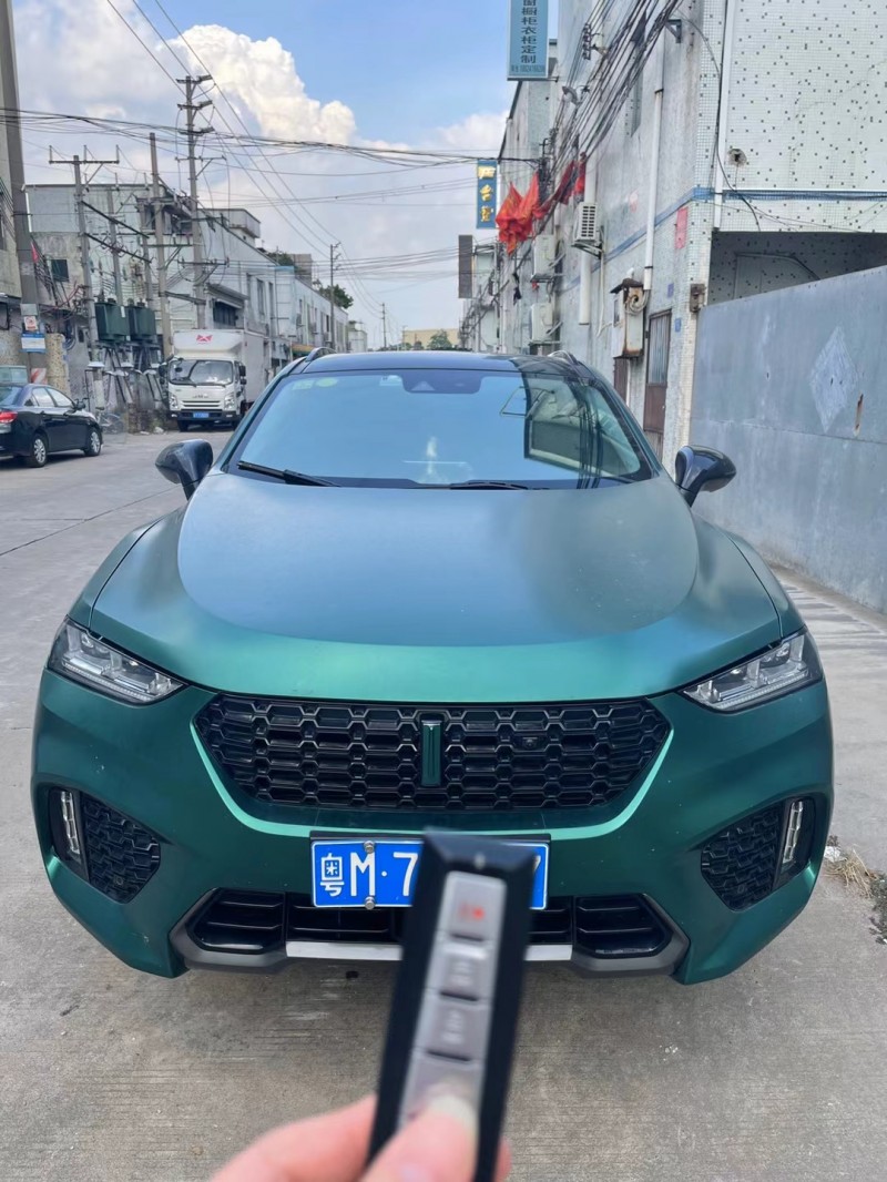广州18年WEYVV71