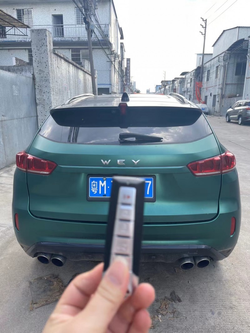 广州18年WEYVV73