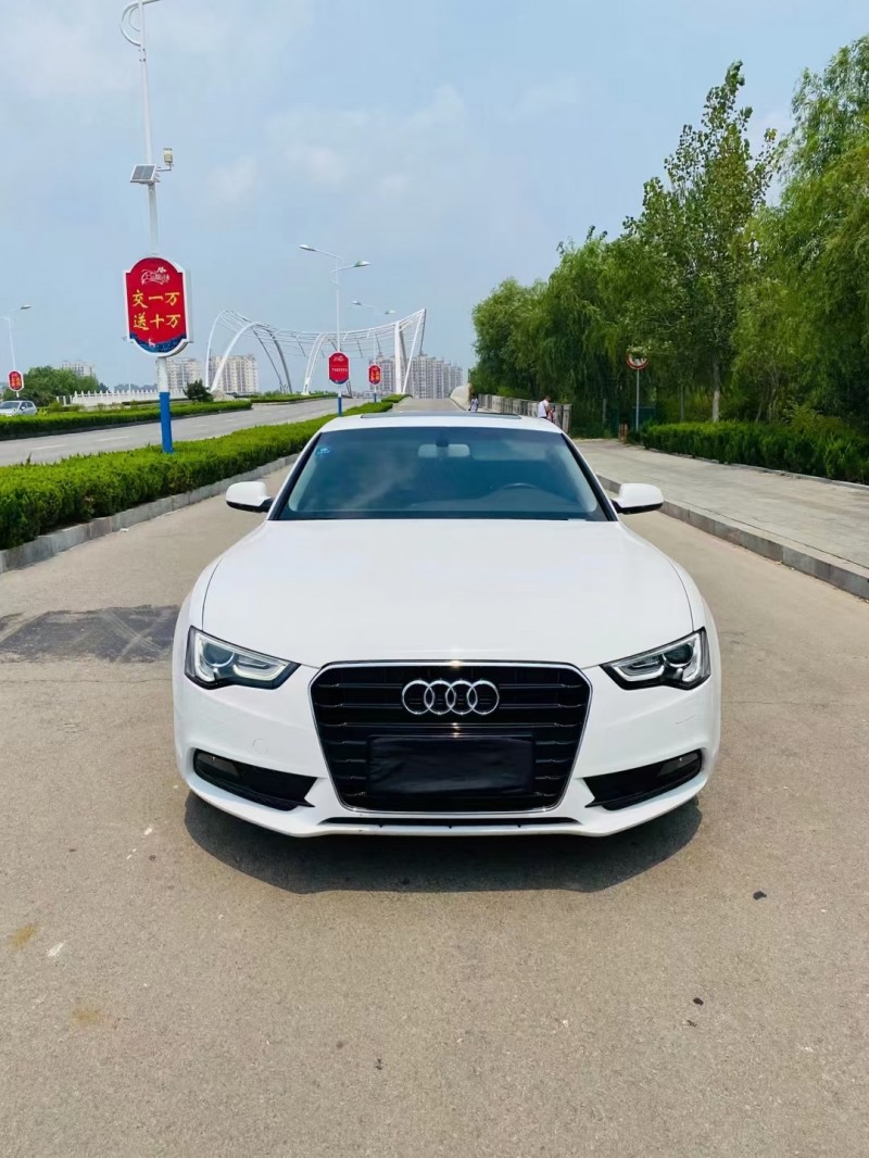 聊城14年奧迪A51