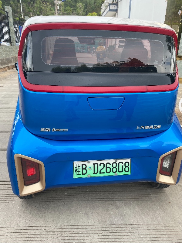 大理20年寶駿E1004
