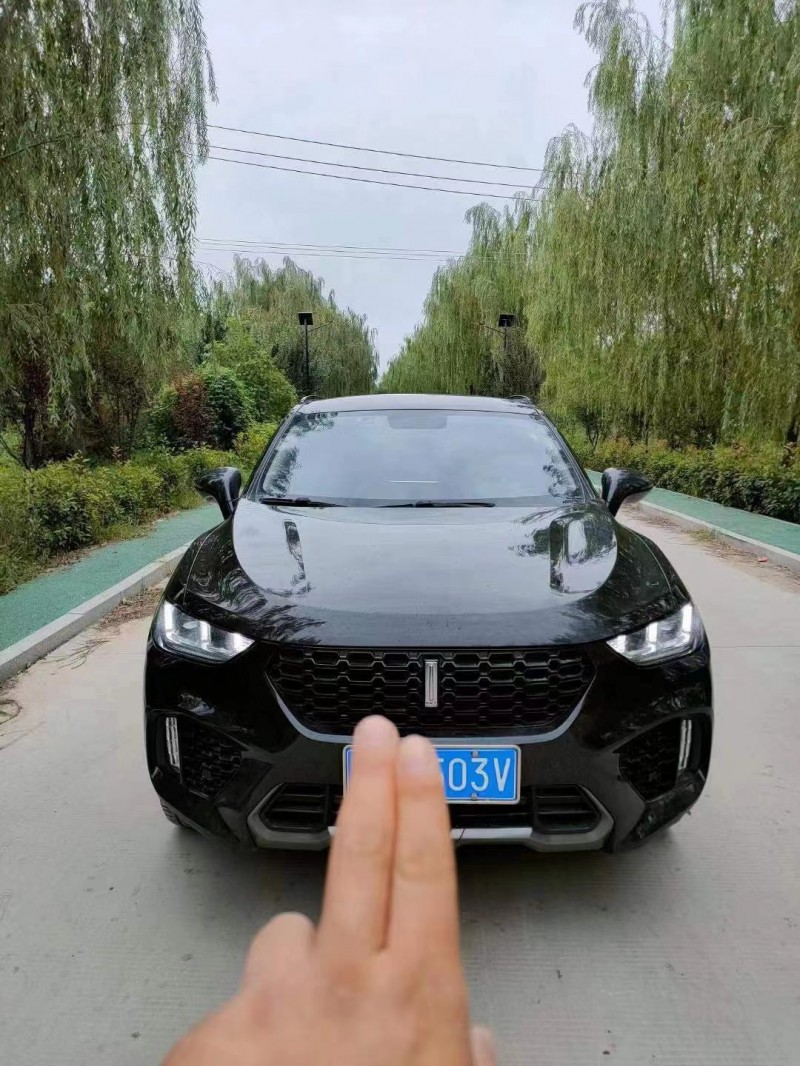 泰安18年長城VV51