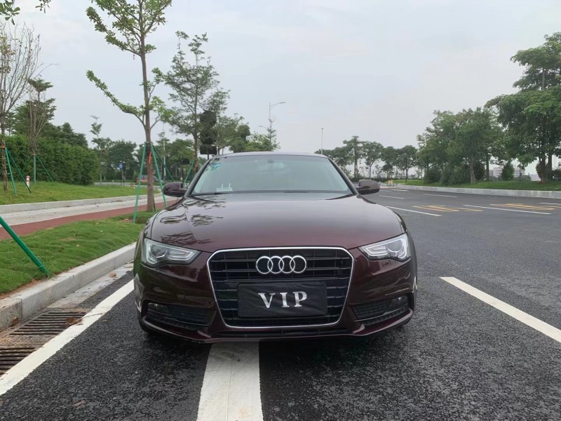 广州15年奥迪A51