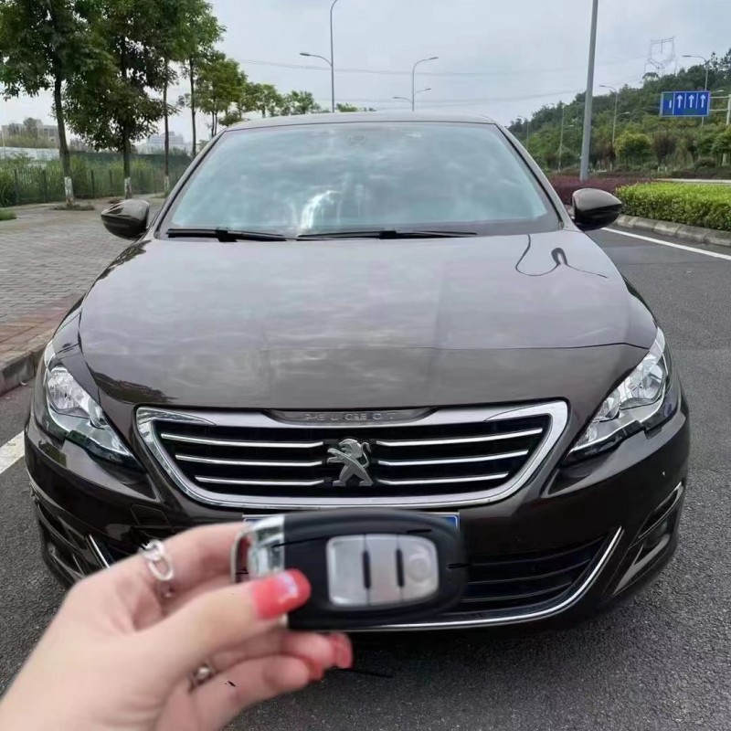 瀘州18年標致4081
