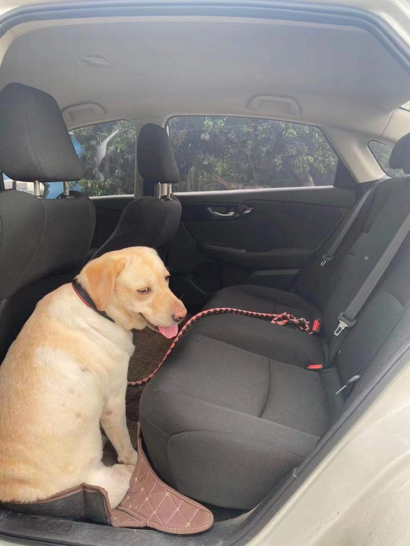 广州21年本田享域3