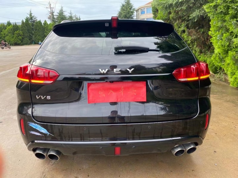 煙臺18年長城VV51
