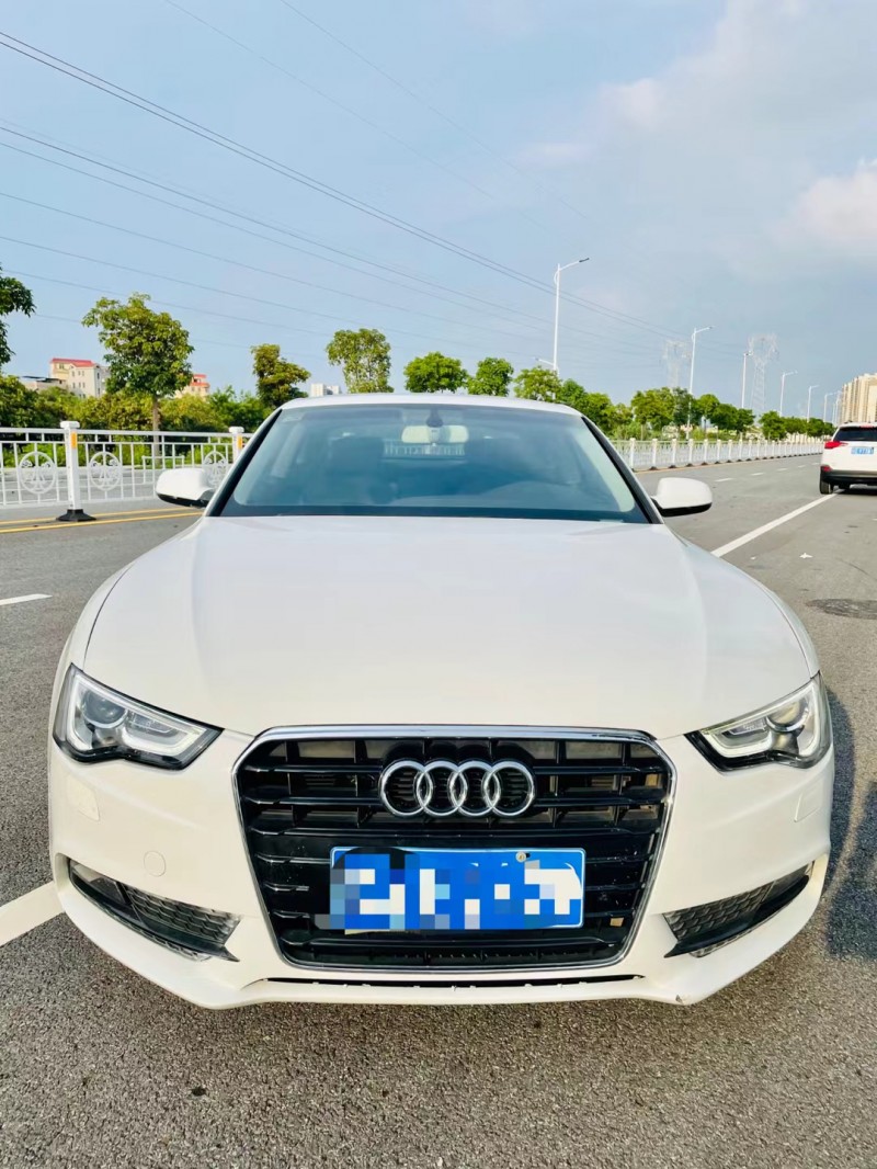 广州14年奥迪A51