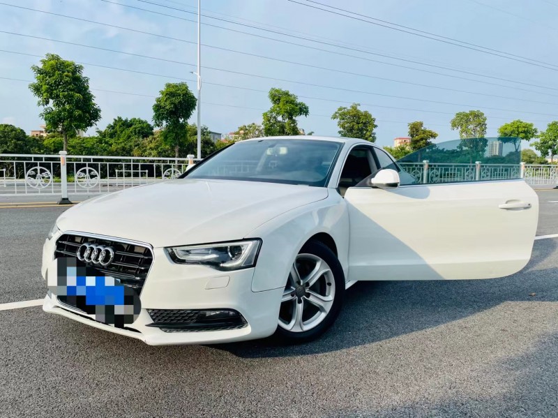 广州14年奥迪A52