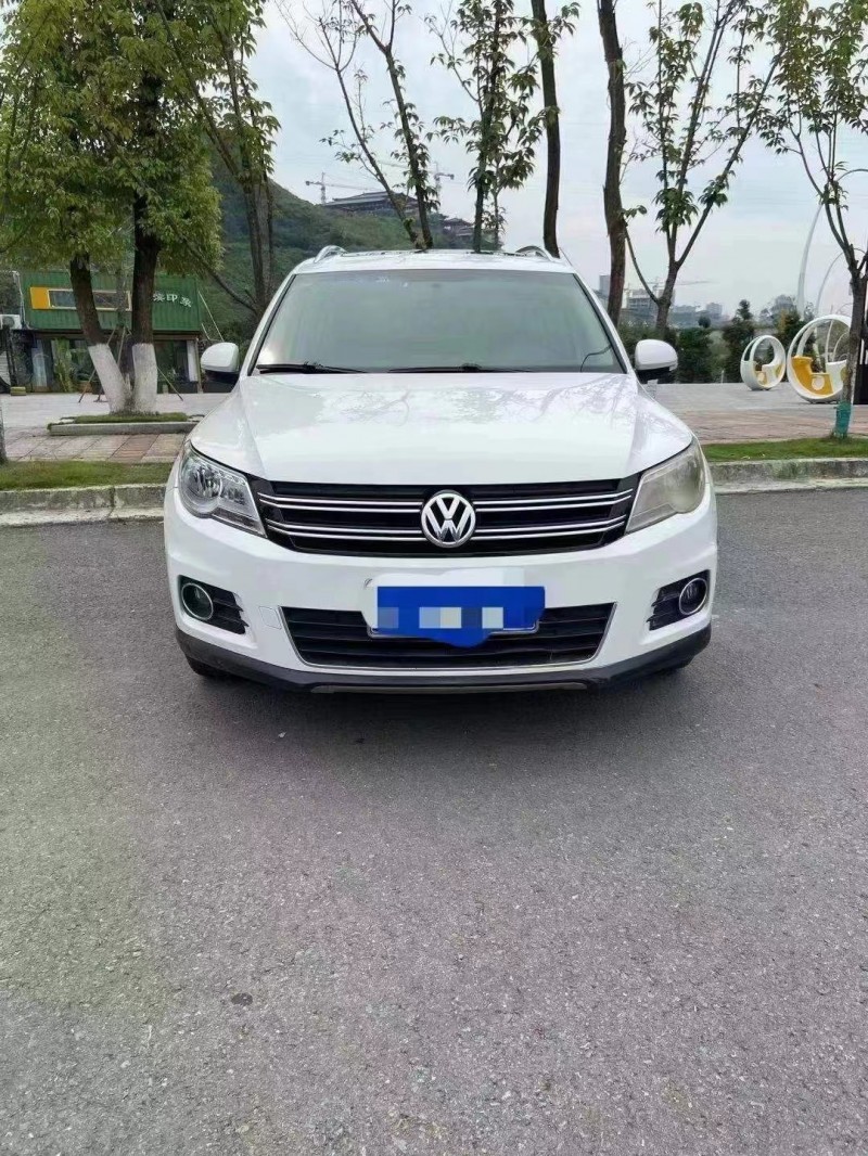 綿陽12年大眾途觀1