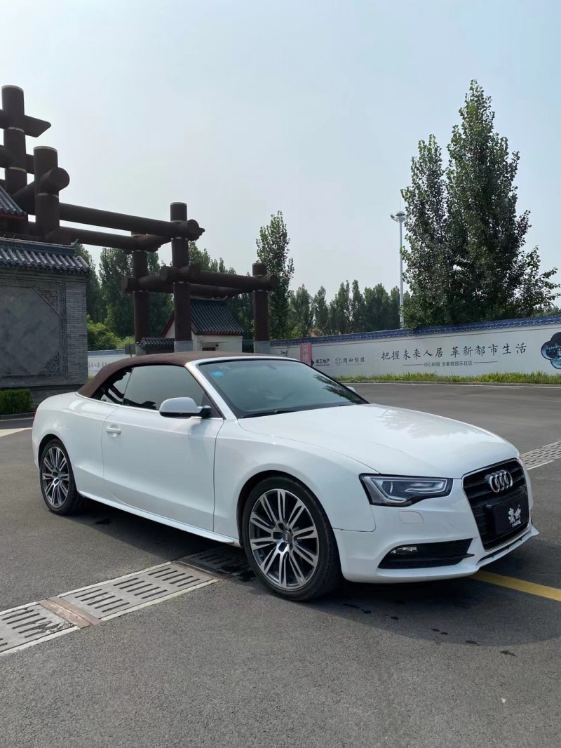 保定14年奥迪A53