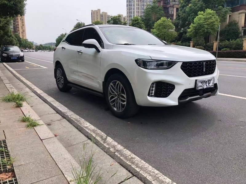 常德18年長城VV53
