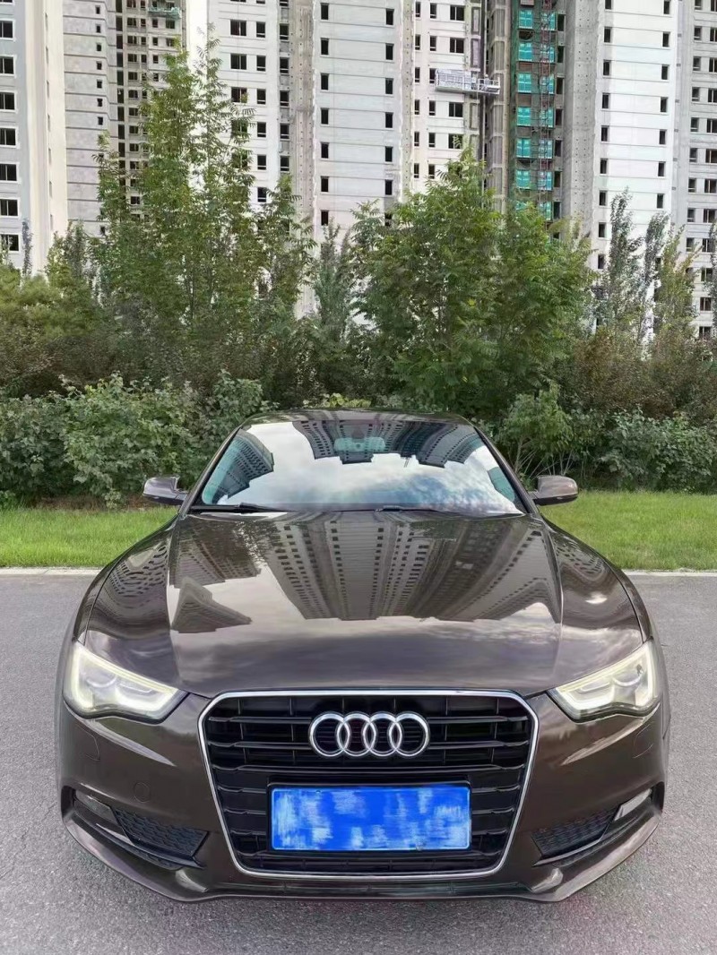 保定14年奥迪A51