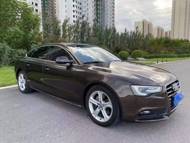 保定14年奥迪A52