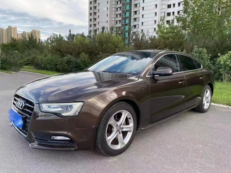 保定14年奥迪A53