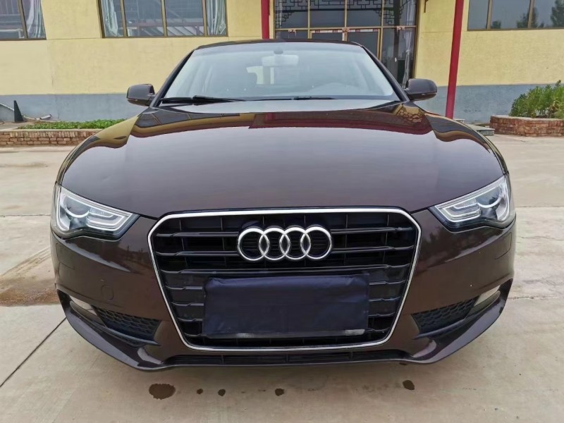 廊坊14年奥迪A51