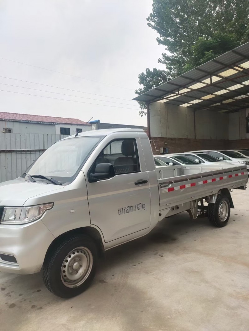濮陽20年五菱汽車榮光3