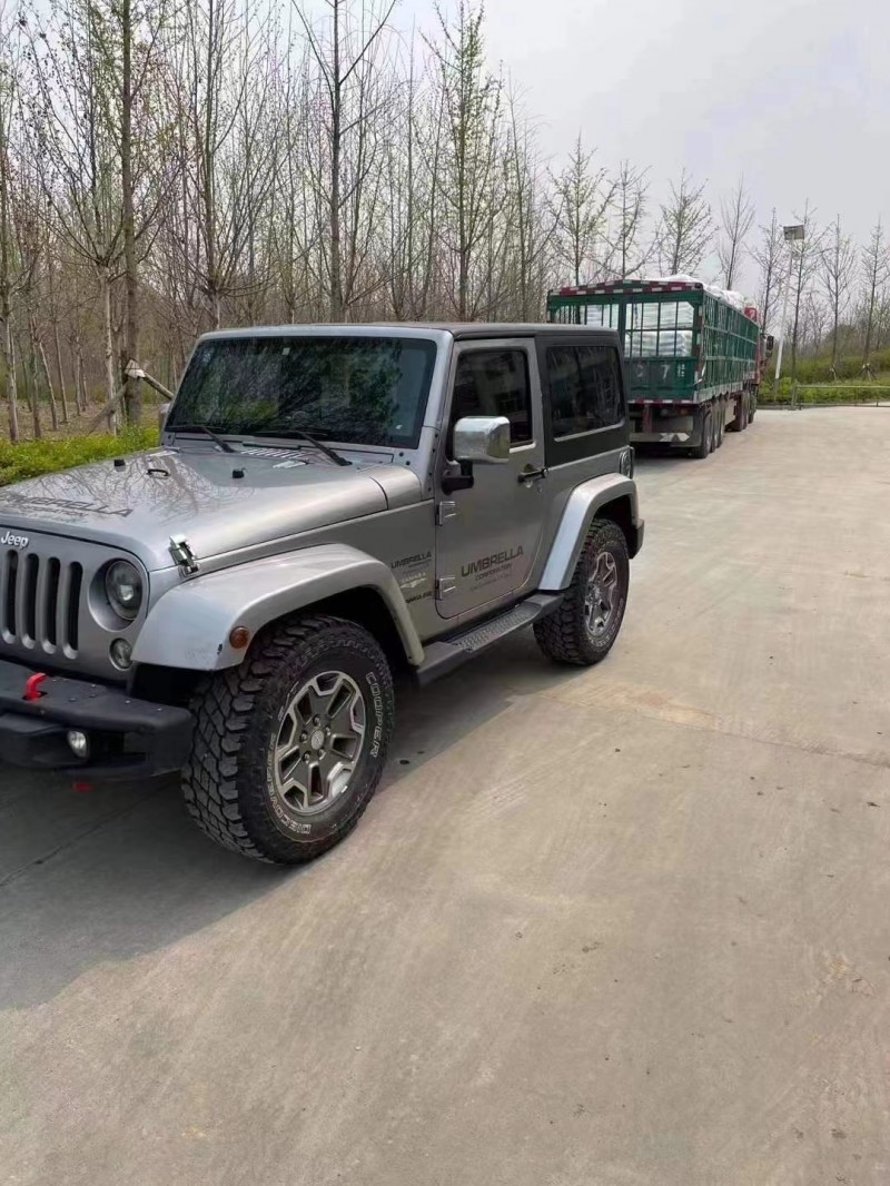 淄博14年Jeep牧馬人2