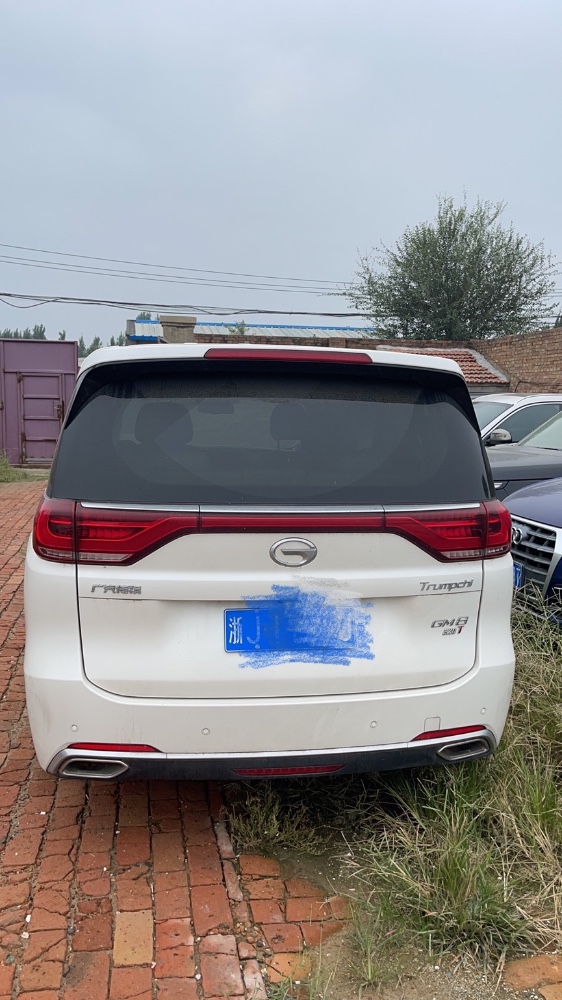 廊坊19年传祺GM83