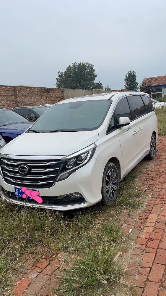 廊坊19年传祺GM81