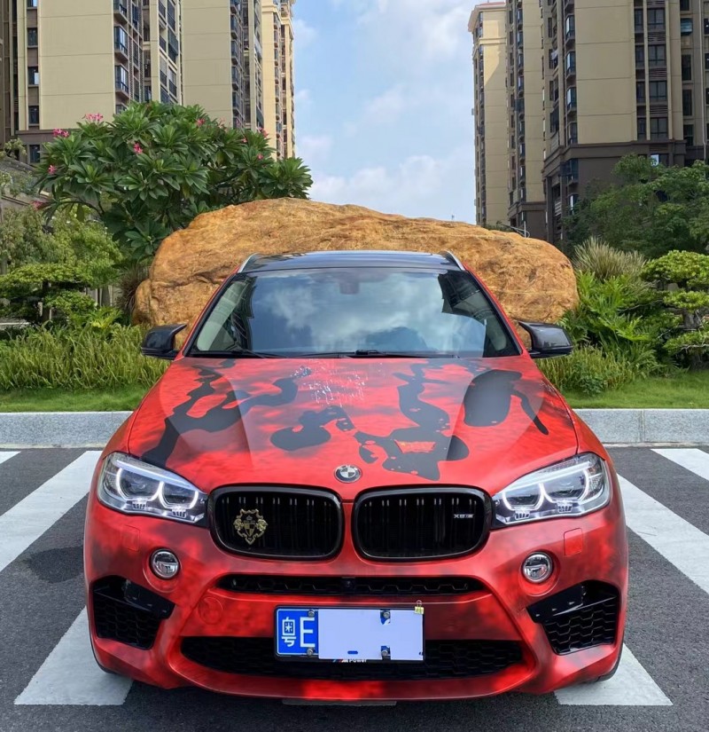 广州18年宝马X69