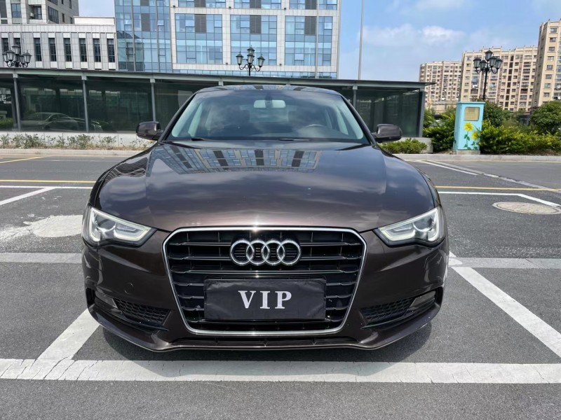 盐城14年奥迪A51