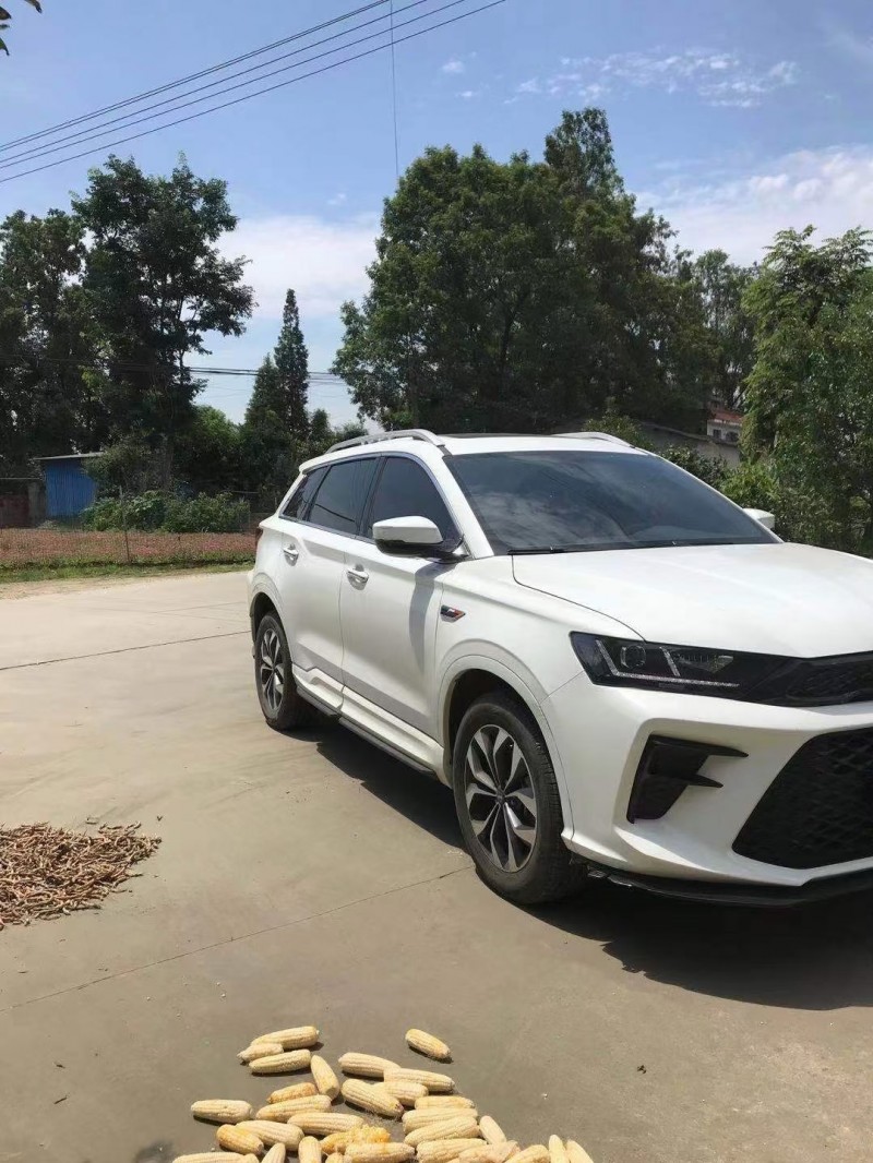 成都20年SWM斯威汽车G015