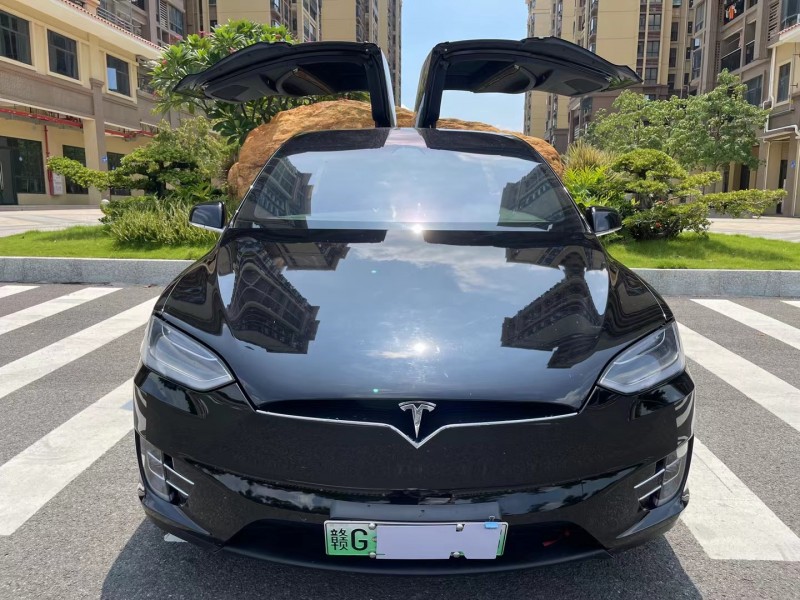 廣州19年特斯拉MODEL X1