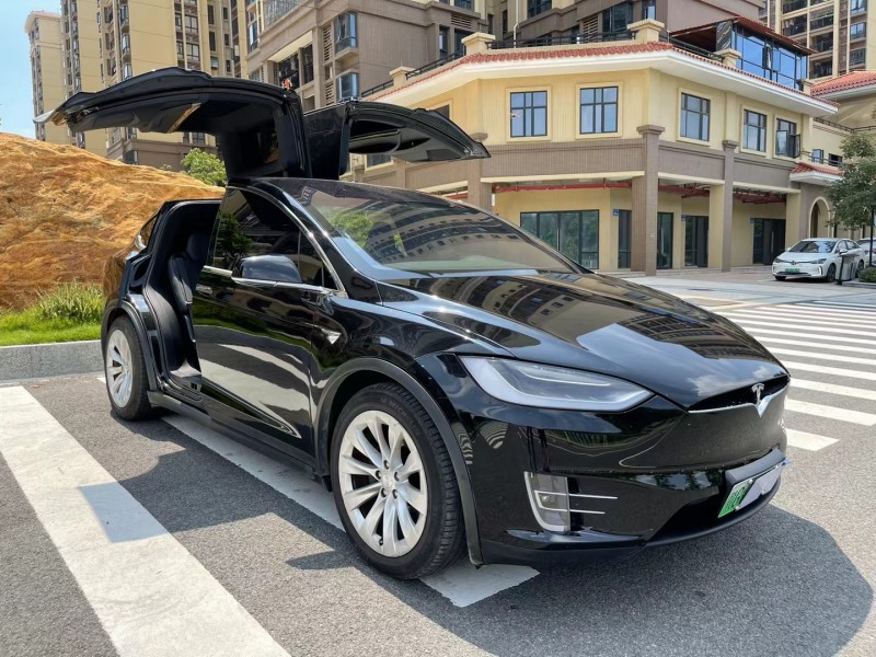 廣州19年特斯拉MODEL X2