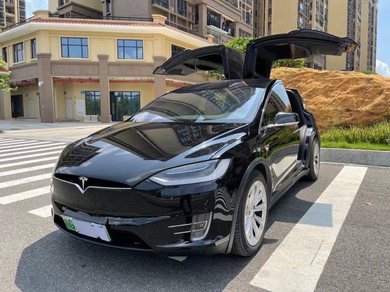 廣州19年特斯拉MODEL X3