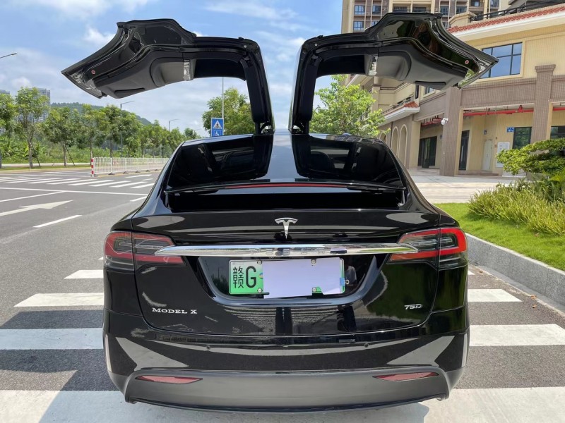廣州19年特斯拉MODEL X9