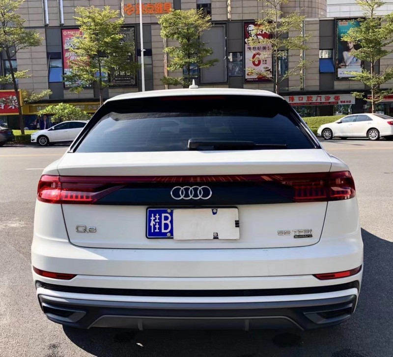 广州20年奥迪Q81