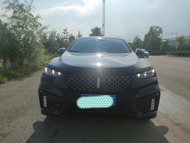 淮南20年長城VV71