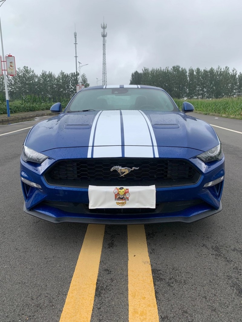 徐州19年福特野马1