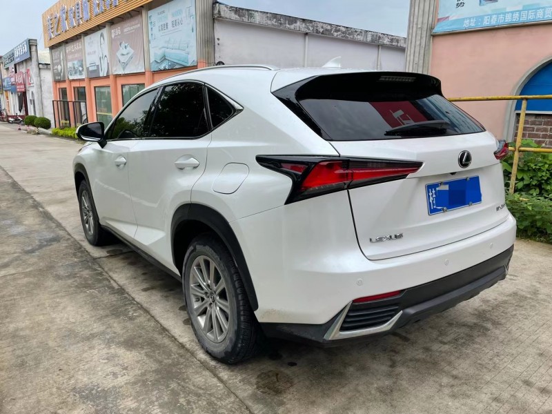 陽江19年雷克薩斯NX4