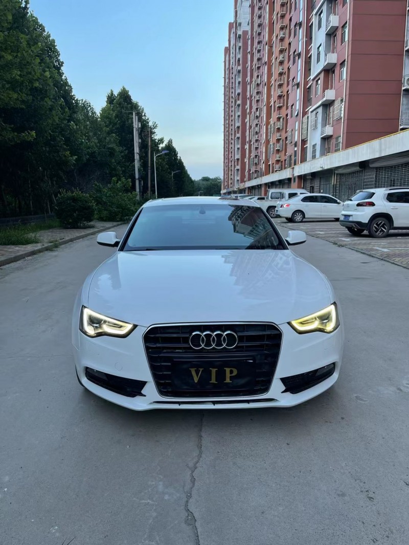 邢台14年奥迪A51