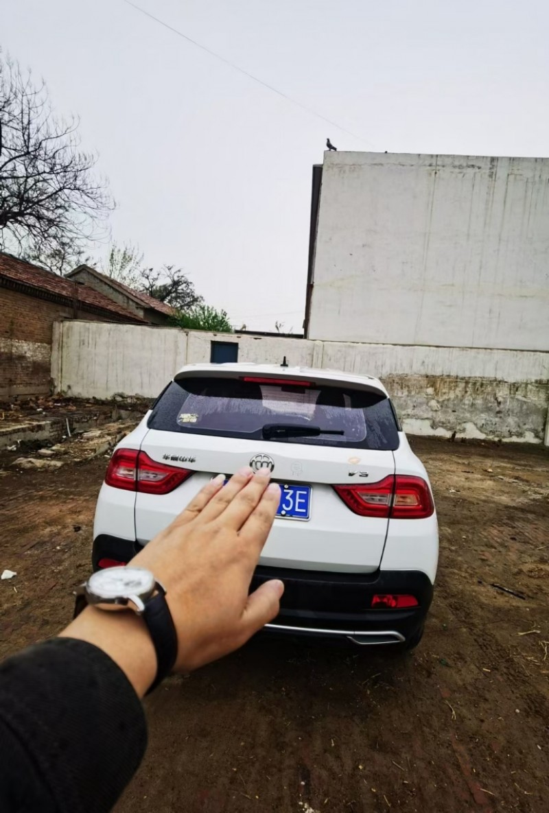 濮陽18年中華V31