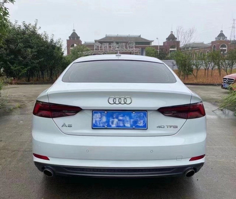 宜昌17年奧迪A59