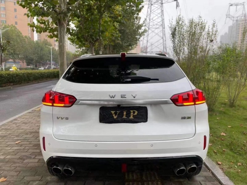 合肥18年長城VV59