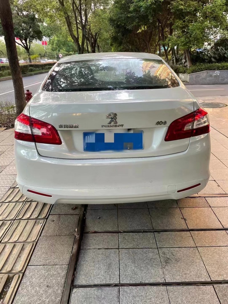 瀘州17年標致4089