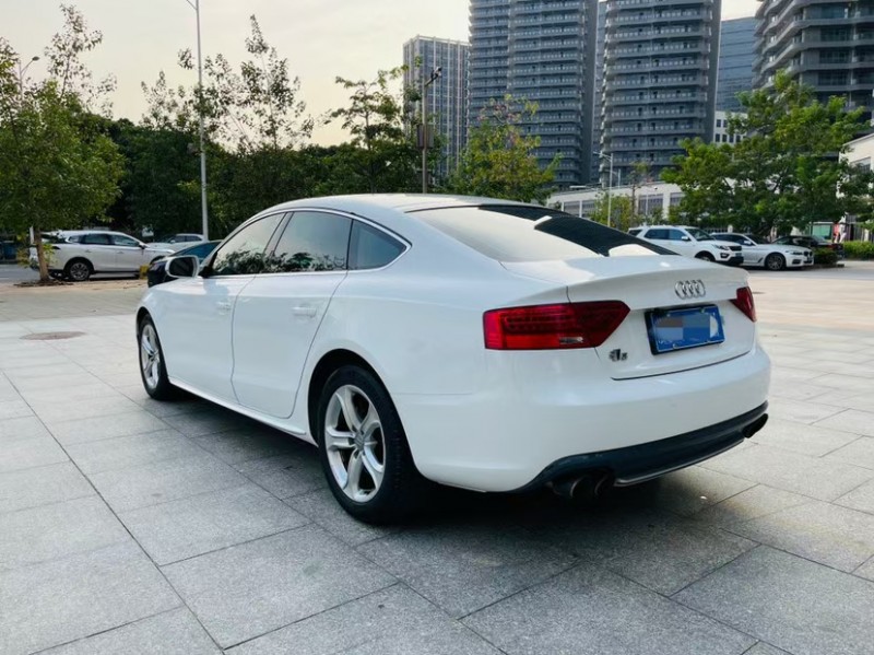 東莞15年奧迪A51